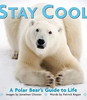 Stay Cool: A Polar Bear’s Guide to Life