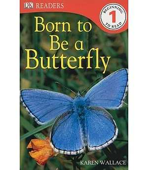Born to Be a Butterfly