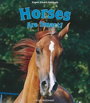 Horses Are Smart!