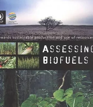 Towards Sustainable Production and Use of Resources: Assessing Biofuels