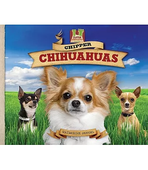 Chipper Chihuahuas