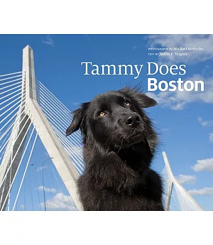 Tammy Does Boston