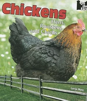 Chickens: Hens, Roosters, and Chicks