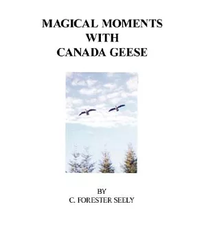 Magical Moments with Canada Geese