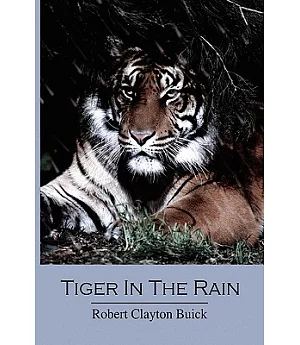 Tiger in the Rain