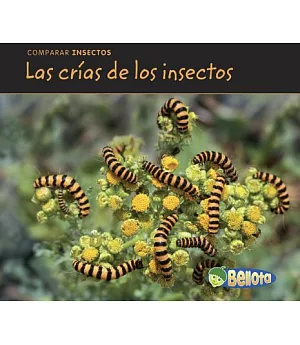 Las crias de los insectos / Bug Babies