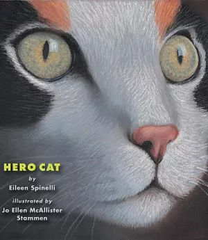 Hero Cat