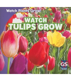 Watch Tulips Grow