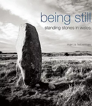 Being Still: Standing Stones in Wales
