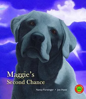 Maggie’s Second Chance: A Gentle Dog’s Rescue
