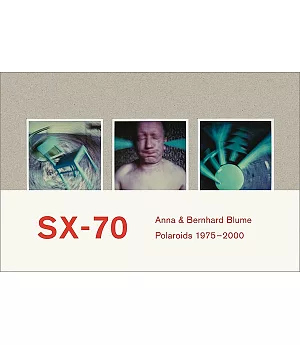 SX-70: Polaroids et collages de Polaroids 1975-2000