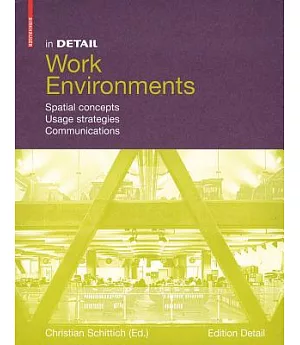 In Detail Work Environment: Spatial Concepts, Usage Strategies, Communications