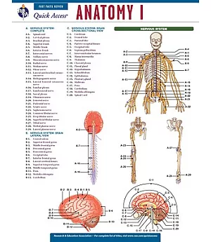 Anatomy I