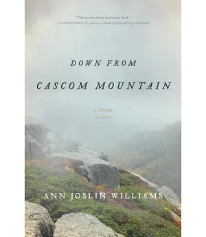 Down from Cascom Mountain: A Novel