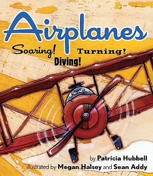 Airplanes: Soaring! Diving! Turning!