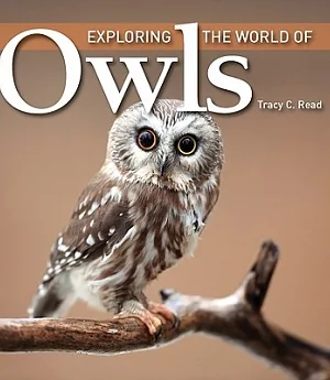 Exploring the World of Owls