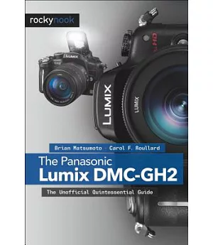The Panasonic Lumix DMC-Gh2