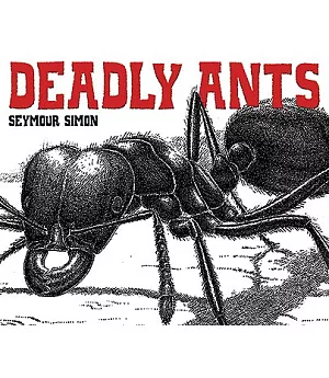 Deadly Ants