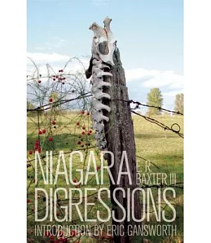 Niagara Digressions