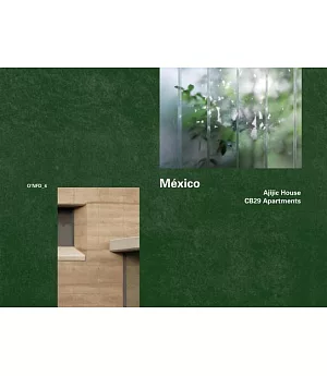 Mexico: Ajijic House, 2009-2011 / CB29 Apartments, 2005-2007