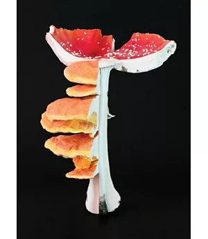 Carsten Holler: Triple Mushrooms, 2011