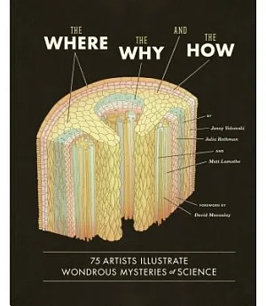 The Where, the Why, and the How: 75 Artists Illustrate Wondrous Mysteries of Science