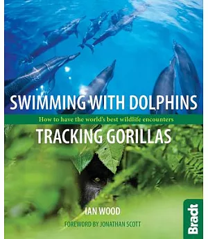 Swimming With Dolphins, Tracking Gorillas: How to have the world’s best wildlife encounters