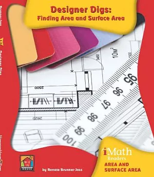 Designer Digs: Finding Area and Surface Area