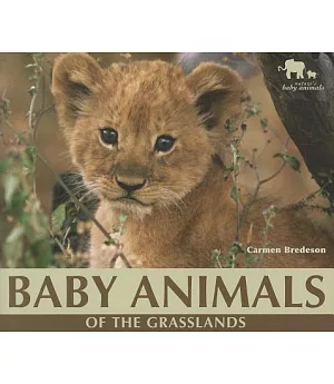 Baby Animals of the Grasslands