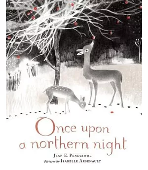 Once upon a Northern Night