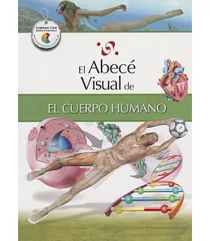 El abece visual de el cuerpo humano / The Illustrated Basics of the Human Body