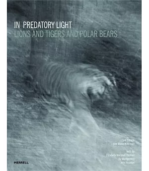In Predatory Light: Lions and Tigers and Polar Bears