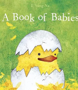 A Book of Babies