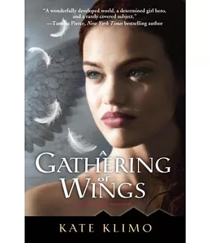 A Gathering of Wings