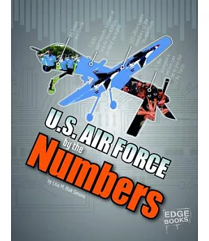 U.S. Air Force by the Numbers