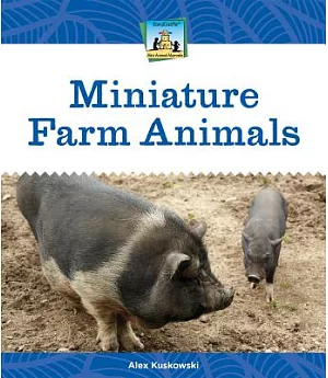 Miniature Farm Animals