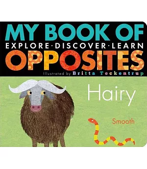 My Book of Opposites