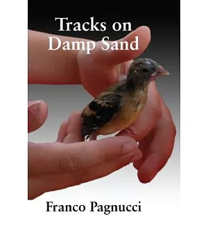 Tracks on Damp Sand