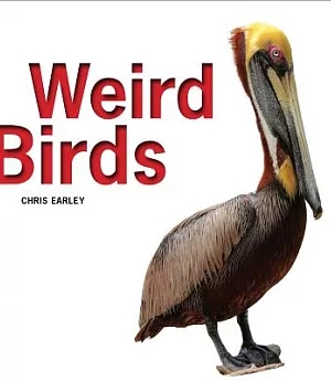 Weird Birds
