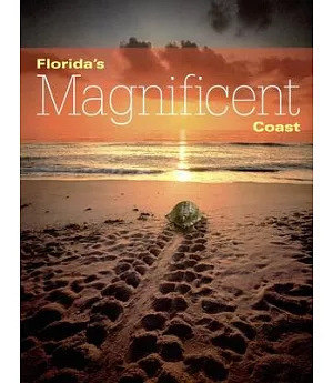 Florida’s Magnificent Coast