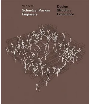 Schnetzer Puskas Engineers: Design Structure Experience