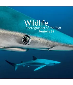 Wildlife Photographer of the Year: Portfolio 24