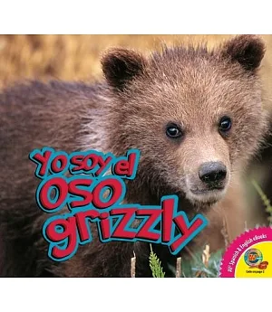 Oso grizzly / Grizzly Bear
