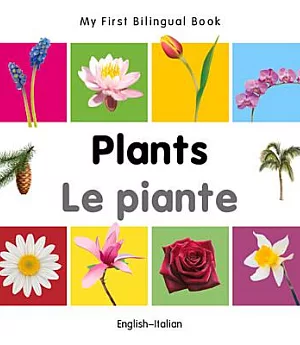 Plants / Le piante