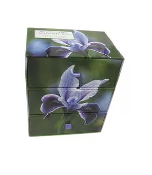 Snowdrop Simply Flowers - Three-drawer Card Box: A Keepsake Box of 60 Beautiful Gift Cards and Envelopes