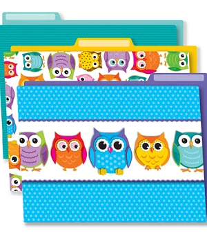 Colorful Owls Folder