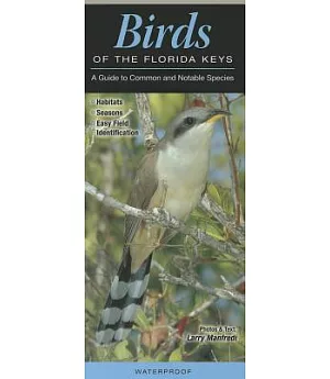 Birds of the Florida Keys: A Guide to Common and Notable Species