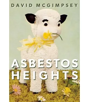 Asbestos Heights: The Canonical Notebooks