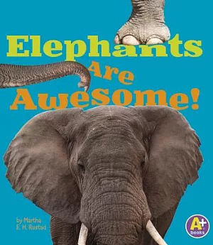 Elephants Are Awesome!