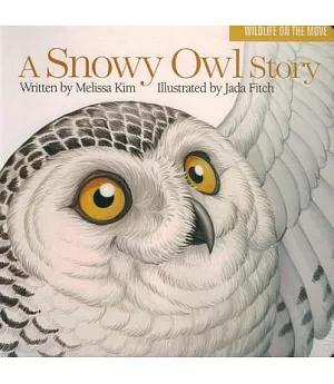 A Snowy Owl Story